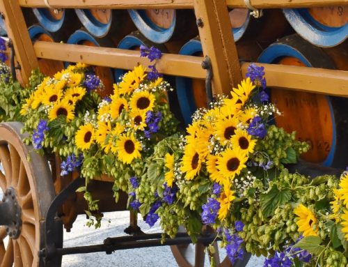 It&rsquo;s Festival Time