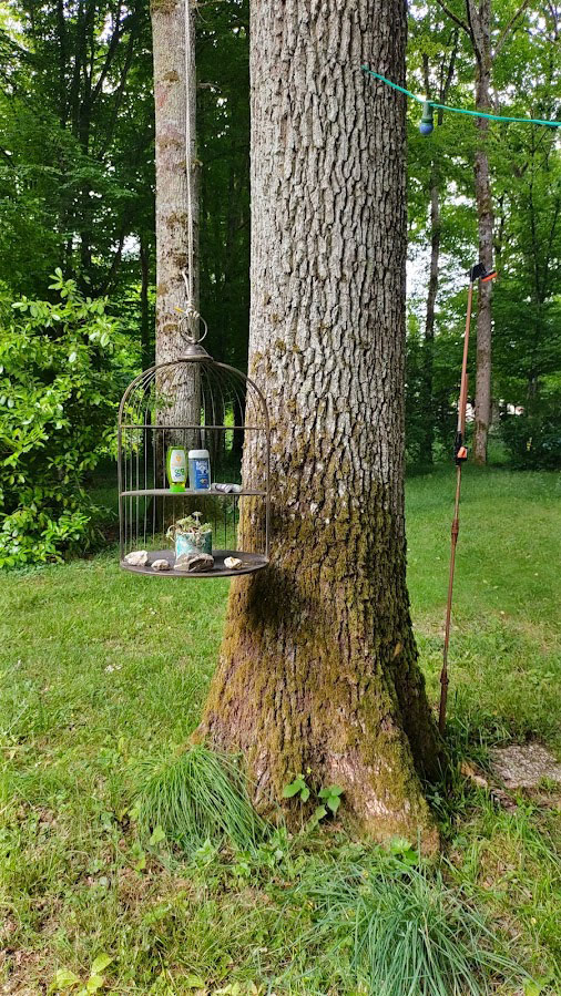 IMG_20250601_182402_hdr